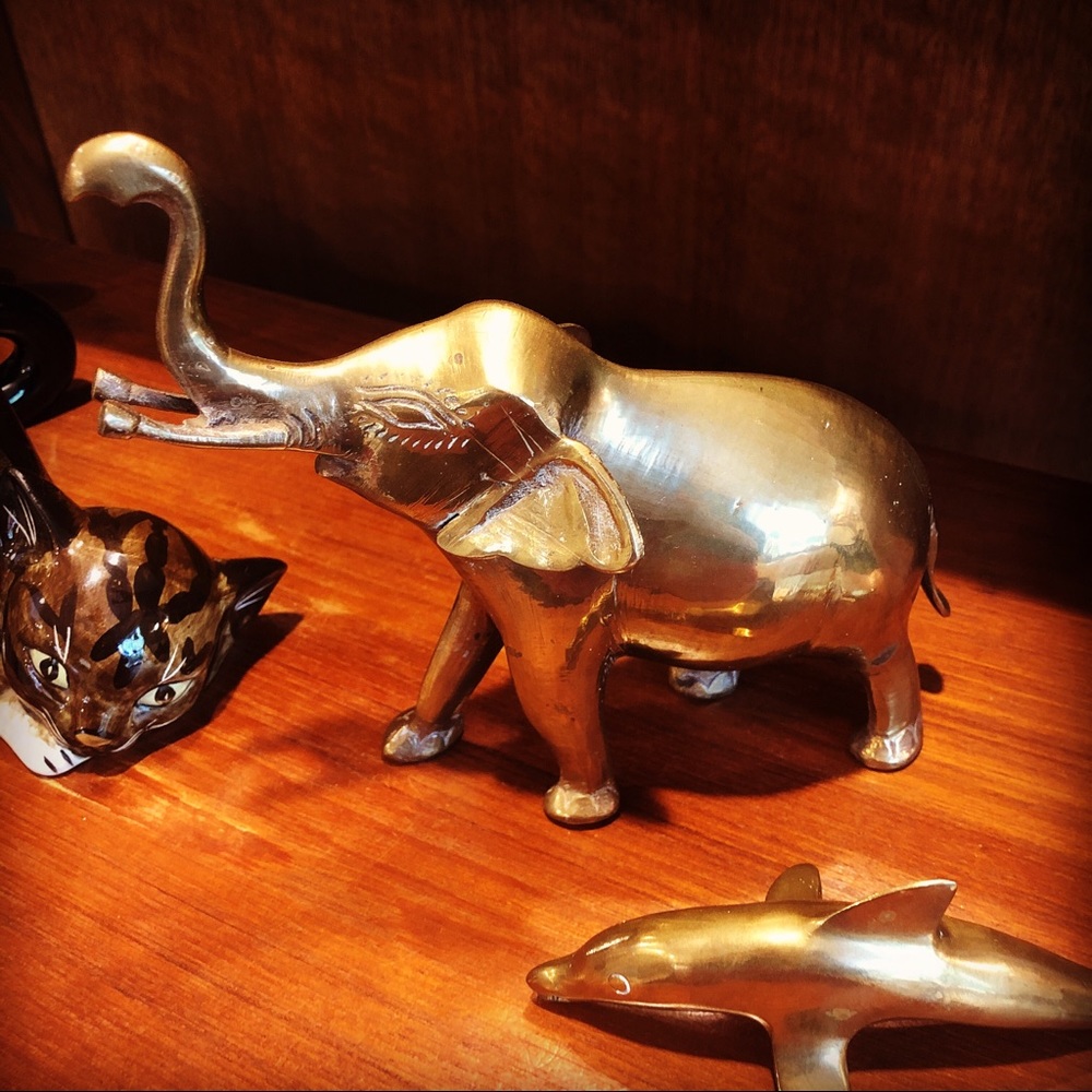 Meet your Posher, Jorelle